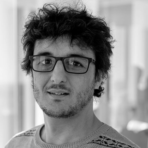 Diego García-González, Principal Investigator